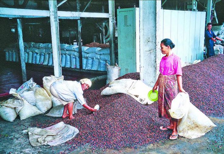 L'huile de palme (ici une photo d'usine de triage datant de 2001) tire les prix alimentaires vers le haut.