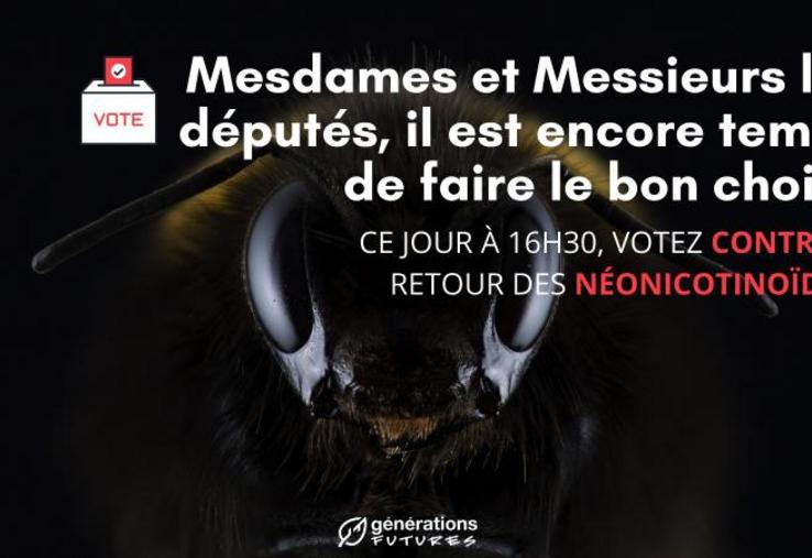 En utilisant la menace de disparition des abeilles par l'utilisation des néonicotinoïdes, Générations Futures espère faire mouche.