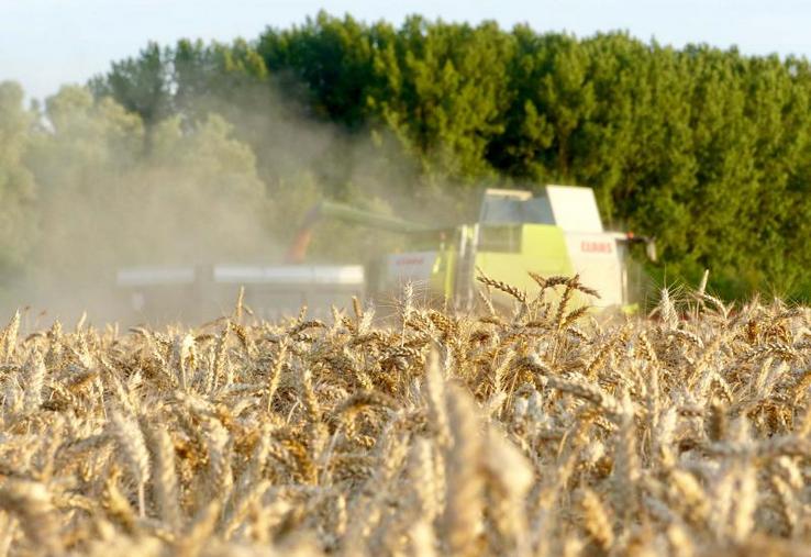 Les bonnes récoltes ne sont pas une exception française, et la plupart des grandes zones céréalières ont aussi de grandes disponibilités qui font pression sur les cours mondiaux, même si la demande continue à croître.