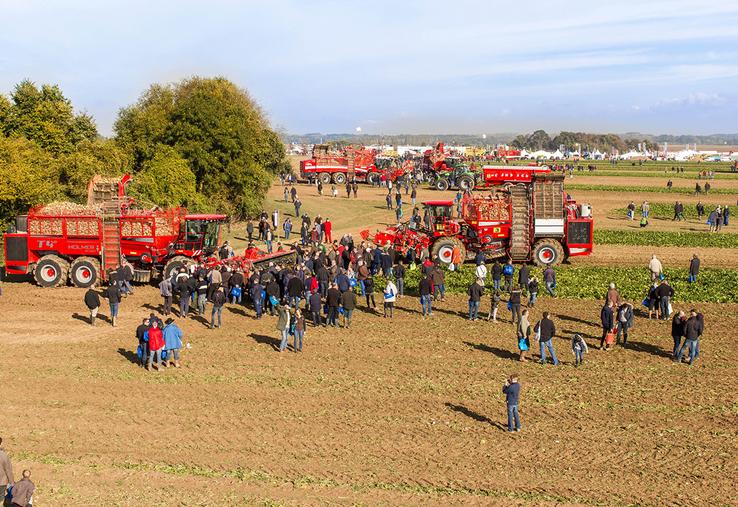 Betteravenir 2023, c’est 40 hectares de surface d’exposition à l’air libre au sein desquels sont réunies les filières betteravières et sucrières française et belge. 