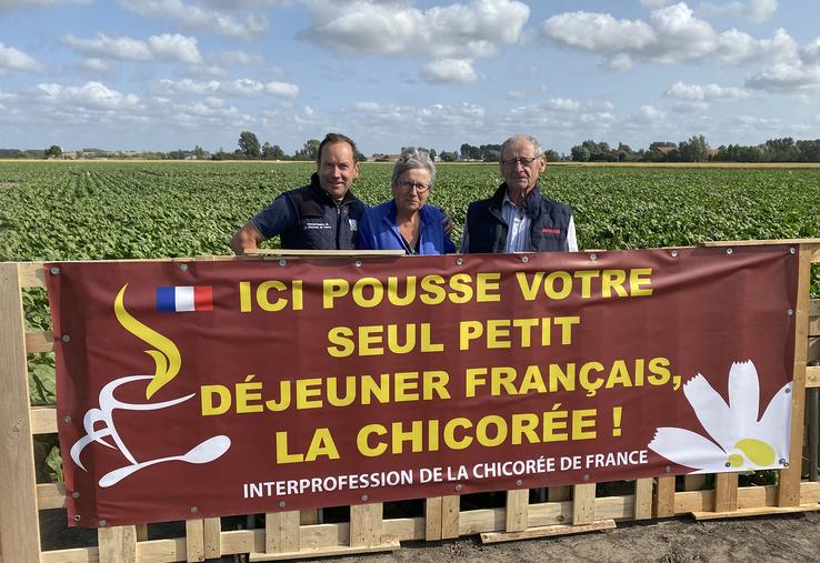 La période estivale est propice à communiquer pour l’interprofession de la chicorée de France sur son produit, mais aussi sur les spécificités de sa culture. 