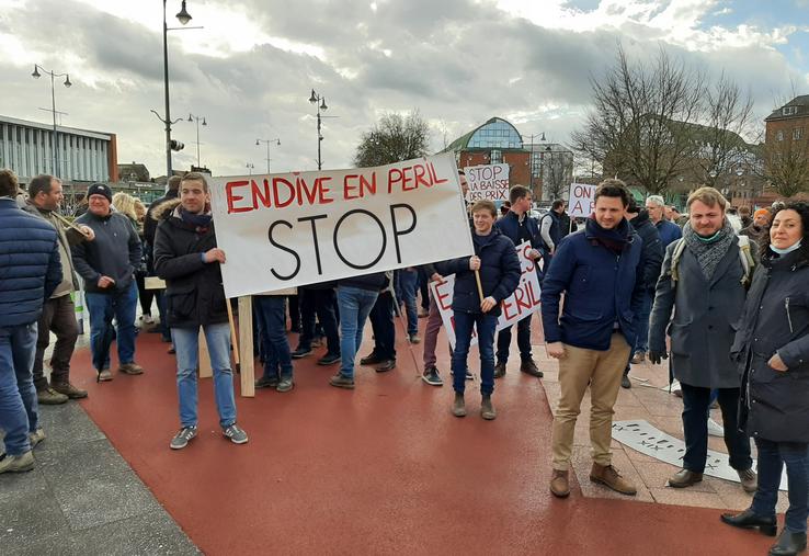 endives manifestation