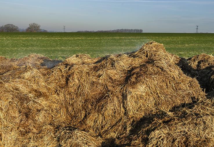 Un tas de fumier trop haut ou déposé au mauvais endroit vaut à plusieurs agriculteurs de l’ouest de la Somme des remontrances de la DDPP et une inscription sur le portail Géorisques. 