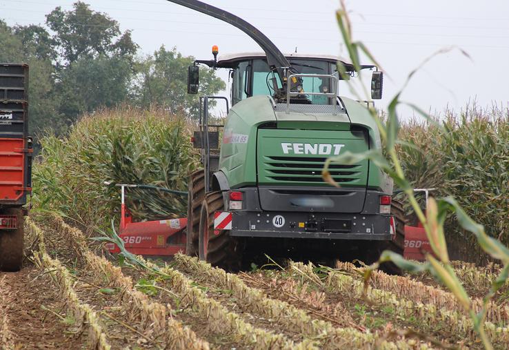 Semés plus tard, comparativement aux années précédentes en raison d’une forte pluviométrie printanière, les conditions météorologiques qui ont suivi ont toutefois été favorables à leur développement, «ce qui permettra pour bon nombre  d’éleveurs de se reconstituer un stock». 