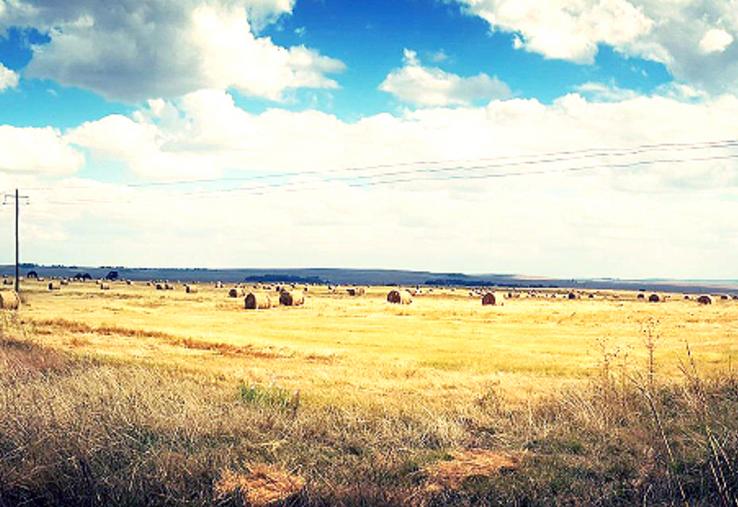 Ce schéma permet essentiellement de réguler l’accès au foncier. Il a pour principal objectif de favoriser l’installation d’agriculteurs, y compris ceux engagés dans une démarche d’installation progressive. 