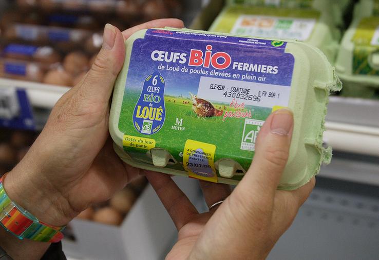 Sur les sept premiers mois de 2023, les achats des ménages en magasins  ont progressé de 3,8 % par rapport à 2022, avec une pointe à + 6,3 % en juillet. 