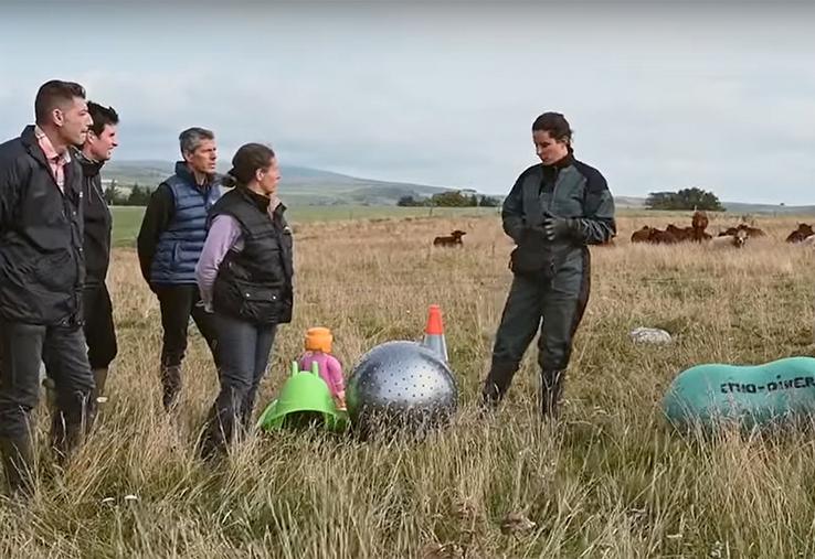 Pauline Garcia, comportementaliste animalier et éleveuse de 110 vaches Salers dans le Cantal.