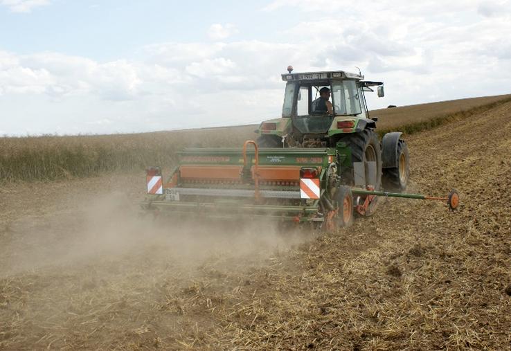 Une attention sera portée au moment du semis, dans certains cas, le labour pourra être privilégié.