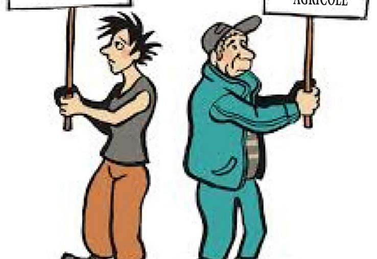 La vente d’un fonds agricole permet de réaliser la vente qu’avec un seul prix, dans sa globalité, plutôt que de procéder à des ventes séparées des éléments mobiliers.