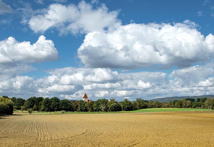 La crise sanitaire de 2020 a incontestablement eu un effet de contraction des marchés fonciers, selon les chiffres de la FNSafer. 