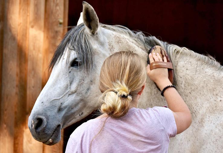 Cette façon de parler aux jeunes enfants, que l’humain a tendance à utiliser instinctivement avec certains animaux, facilite la communication entre humains et chevaux dans les interactions de tous les jours (pansage, travail…). 
