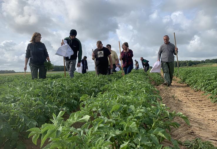 Sous l’œil de Carine Bouvet, vingt-quatre candidats au poste de saisonnier pour l’épuration de plants  de pommes de terre étaient en test ce lundi matin. Quinze ont été retenus. 