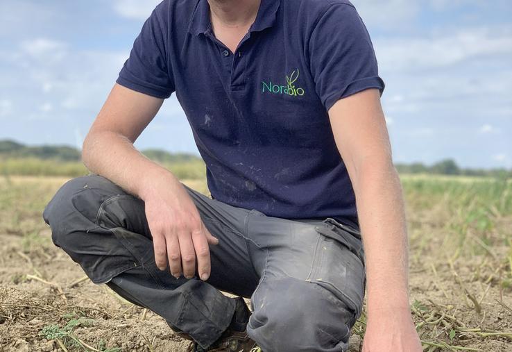 Olivier Devillers cultive 4 ha de pommes de terre bio robustes. Un choix  agronomiquement cohérent. 