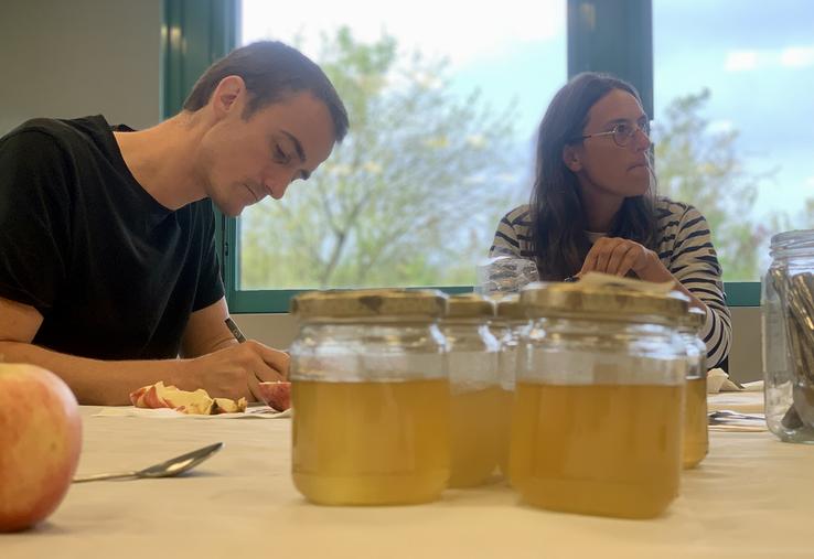 Les apiculteurs membres du jury ont tous été formés pour pouvoir caractériser le fameux miel de tilleul de Picardie. 