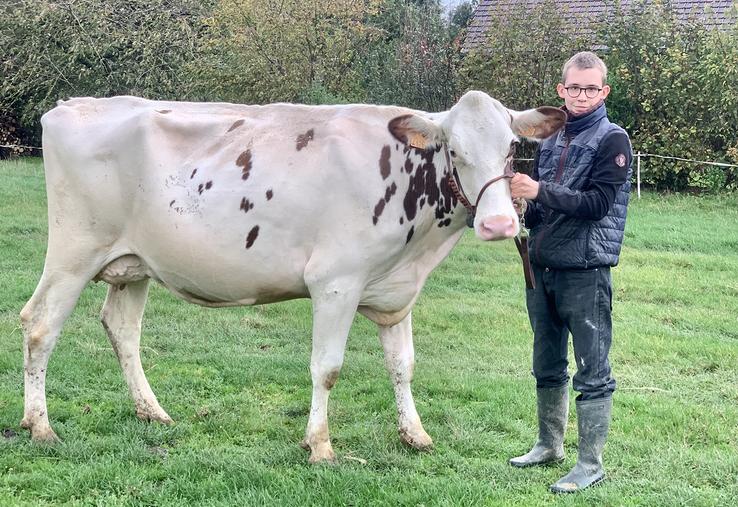 Antoine et Les Croisettes Tease red avaient fait sensation lors de leur première sortie en concours à la foire de Montdidier,  en avril dernier. 