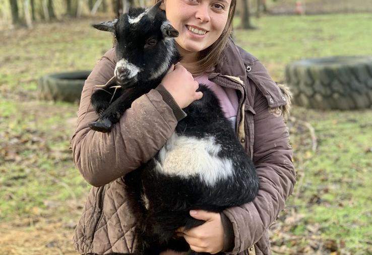 Toutes sortes d’animaux, comme des chèvres toy, composent la ferme  pédagogique d’Amandine. 
