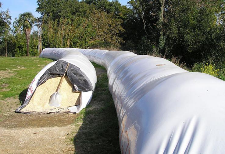 Le maïs grain humide apporte aux éleveurs une plus grande autonomie  alimentaire et assure la traçabilité complète des maïs produits et utilisés sur l’exploitation.