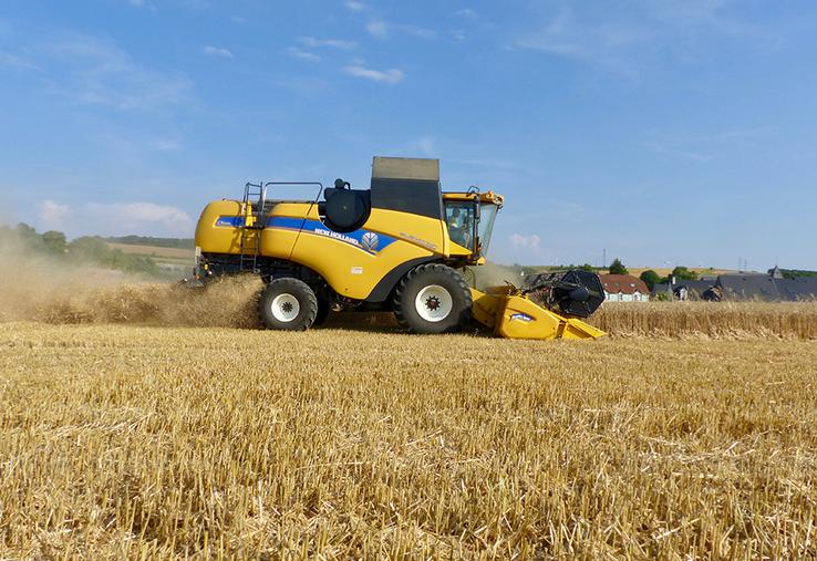 Selon le Cerfrance Picardie Nord de Seine, la marge brute par hectare pour le blé pourrait se situer à 1 390 € en 2023.