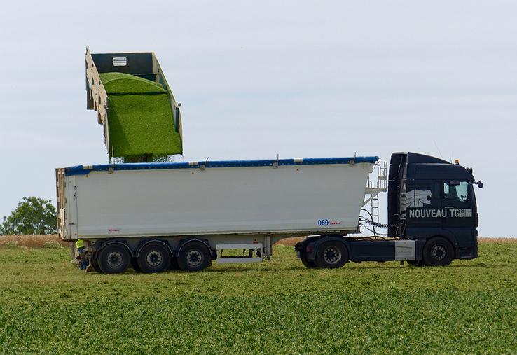 Pour 2023-2024, Bonduelle vise une progression de son chiffre d’affaires d’environ 5 % et une marge opérationnelle supérieure à 3 % tous deux à taux de change constant.