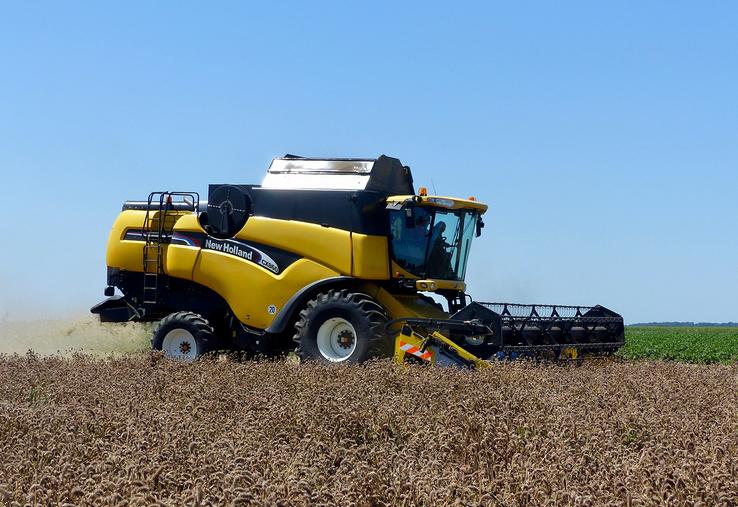 Cette année, le trèfle incarnat se portait bien. 