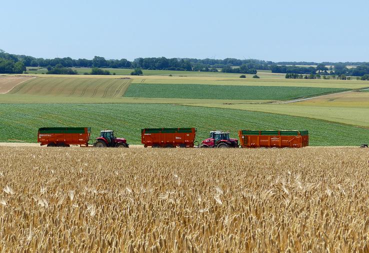 Après une bonne récolte source de revenus, la moyenne triennale peut être une option stratégique.