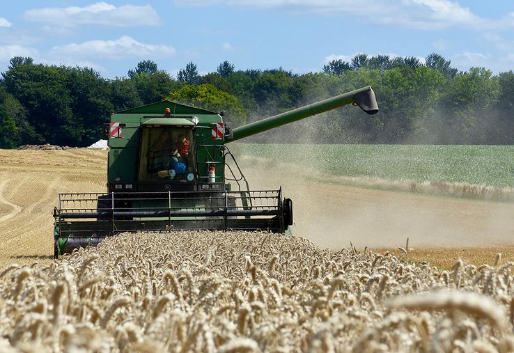 La remontée des prix des céréales a plus que compensé le recul des volumes.