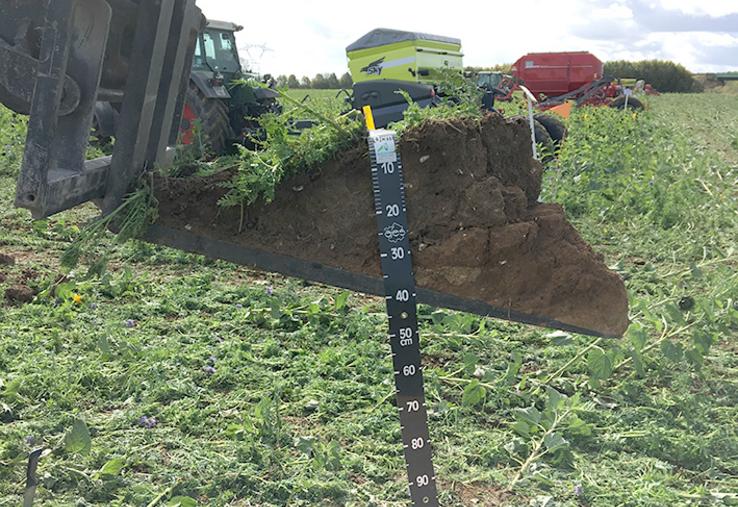 Réalisation d’un mini profil 3D dans un couvert lors de la démo du 2 octobre 2019 à Pont-de-Metz : implantation de blé en semis direct.