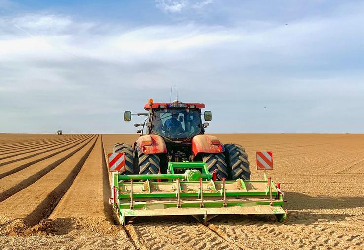 La technique de plantation en billons se pratique généralement pour la production de plants. Nicolas Sainte Beuve l’a adaptée à sa production de grenaille.
