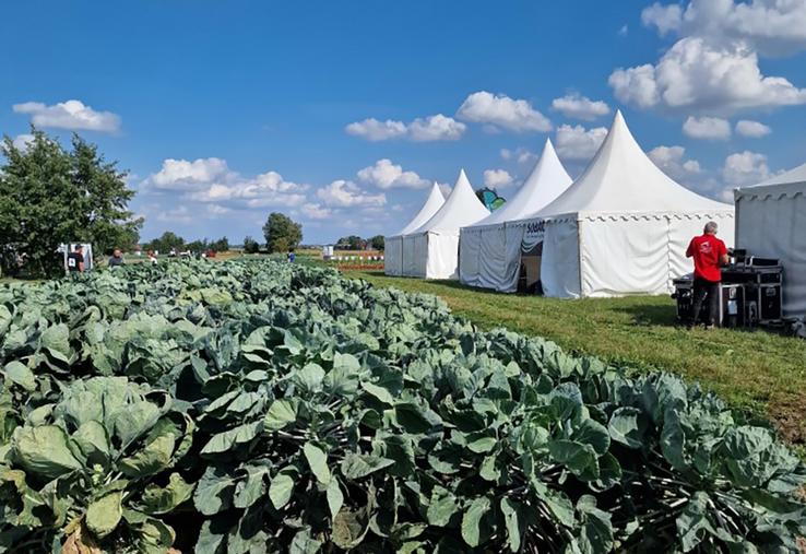 Au programme de la journée technique fruits et légumes, qui a eu lieu à Lorgies  le 14 septembre : visites de parcelles d'essais, rencontre avec les exposants  et conférences. 