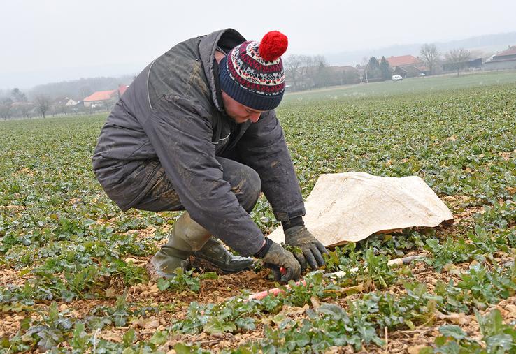 L’estimation de la biomasse à la sortie de l’hiver doit intervenir dans les semaines à venir  et viendra compléter l’estimation faite à l’entrée de l’hiver. 
