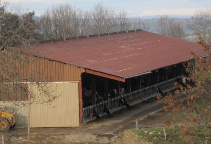 Lors de la création de la société, le ou les associés exploitants ont la possibilité d’apporter les immeubles à la société  ou tout simplement les mettre à disposition de la société ou encore les louer par bail.