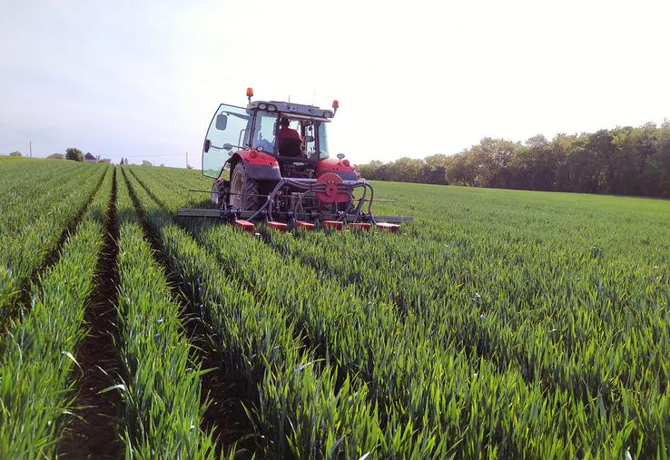 Le semis du soja est effectué avec un semoir monosem 7 rangs équipé d’éléments Precision planting (50 cm inter-rang). 