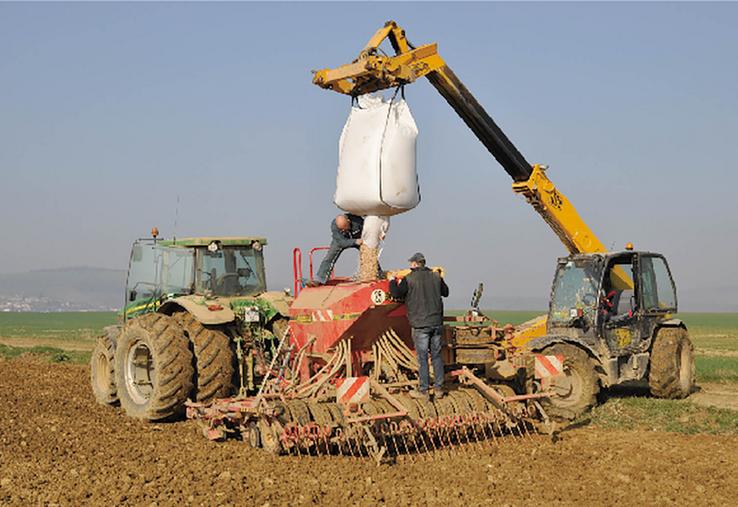 Le semis précoce de certaines espèces protéagineuses permet de limiter les risques de stress hydrique et thermique.