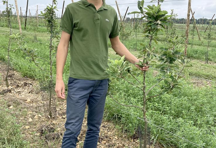 Mathis Taoufik doit attendre la deuxième floraison de ses pommiers  pour pouvoir récolter, en septembre prochain. 