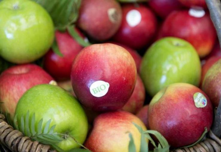 aides agriculture bio