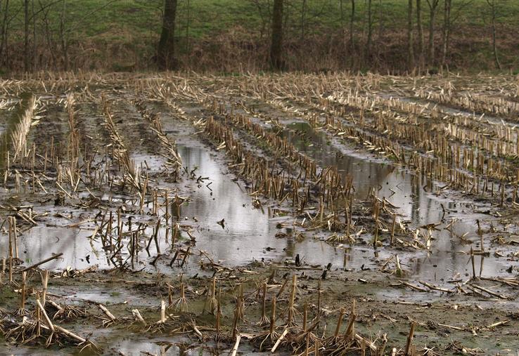assurance récolte Groupama