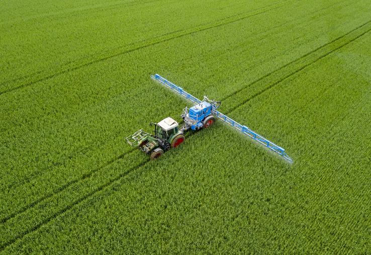 glyphosate
