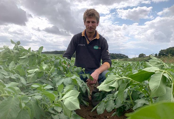 En plus de son puits, Mathieu Mascré bénéficie de 17 000 m3 d’eau pour irriguer ses cultures, directement amenée de la sucrerie via un réseau sous-terrain. 