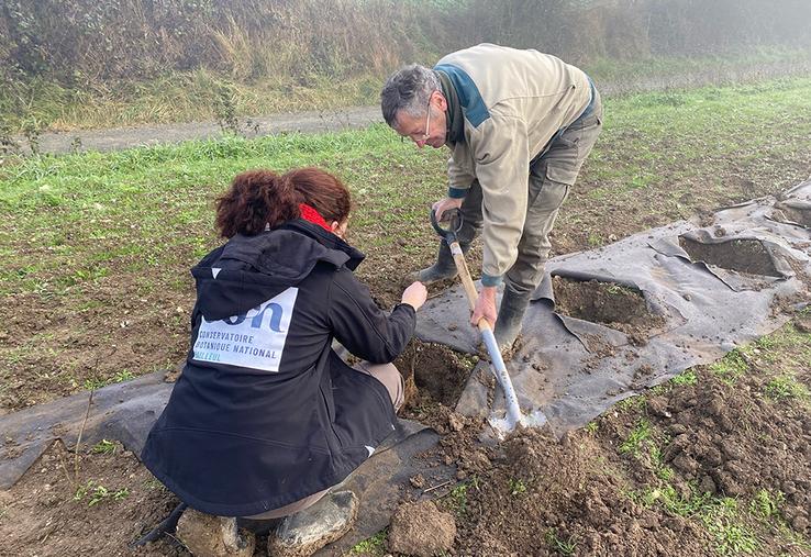 René et Éliane travaillent ensemble pour planter chaque arbuste.
