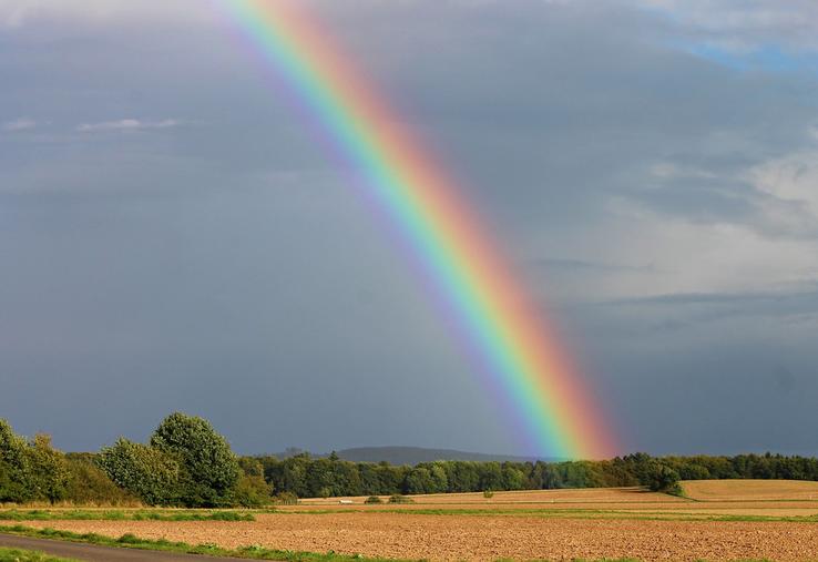 Chaque année, il tombe en moyenne 750 mm d’eau sur la région, dont profitent les 2,2 millions d’hectares de SAU.  Mais les périodes d’excès et de pénuries d’eau devraient être plus fréquentes. 