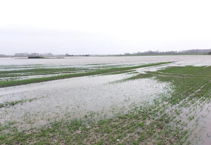 En baie d’Authie, il faudra certainement atteindre fin mars ou début avril pour que l’eau se retire des terres.