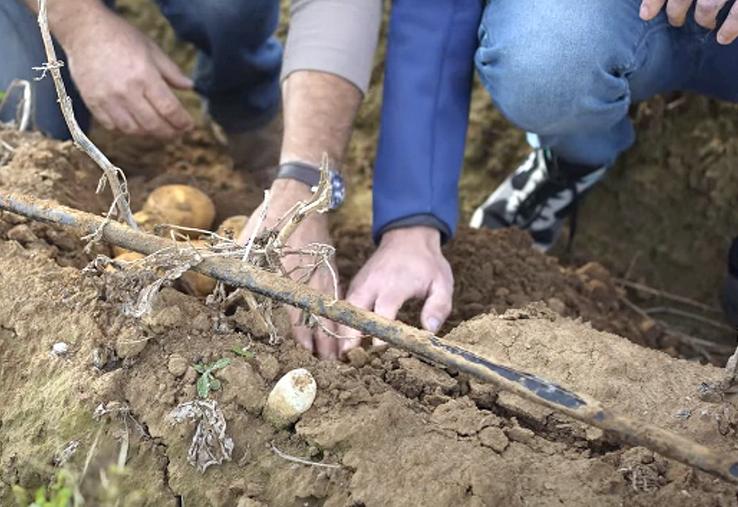Goutte à goutte en haut de butte.