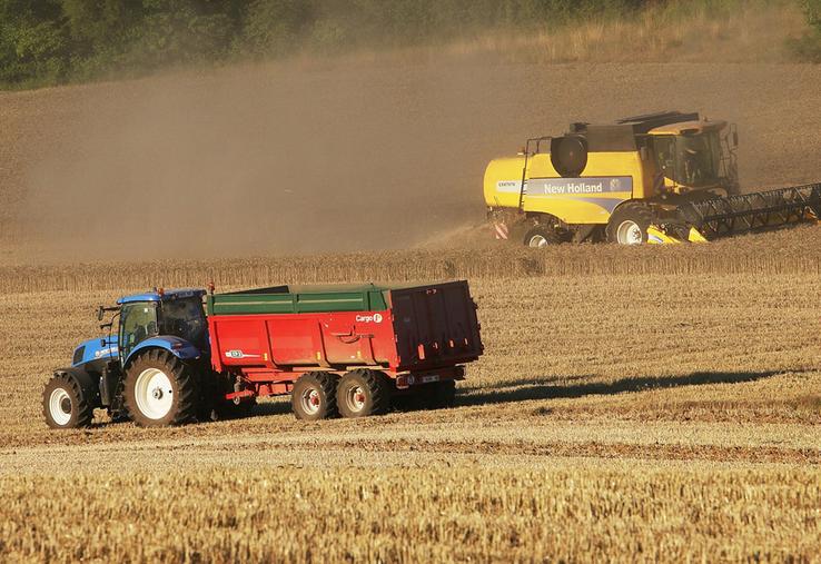 La récolte de céréales et d’oléagineux/protéagineux était bonne en 2023 (+ 5,8 %), mais leur prix a chuté (- 28,4 %). 