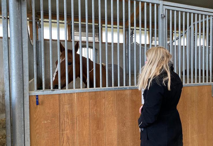 Le centre équestre est installé depuis 2020 à dix minutes de marche  de l’établissement. 