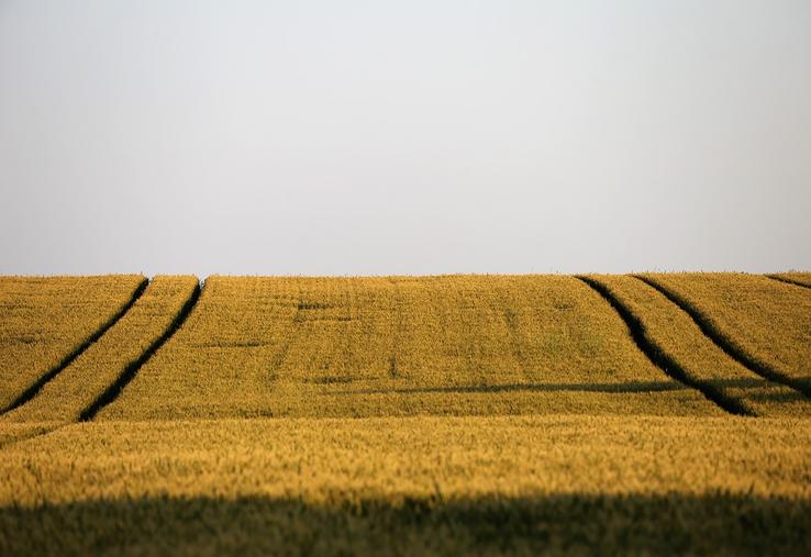 aides Pac versement calendrier