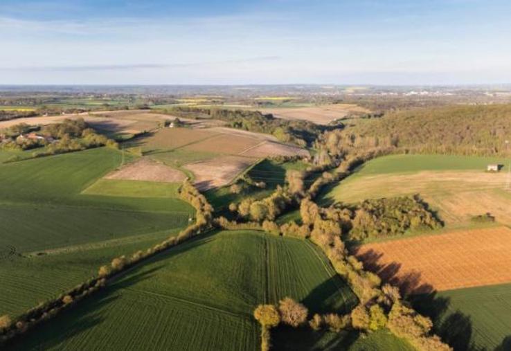 annonces gouvernementales