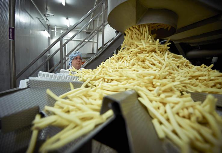 McCain investissements Macron