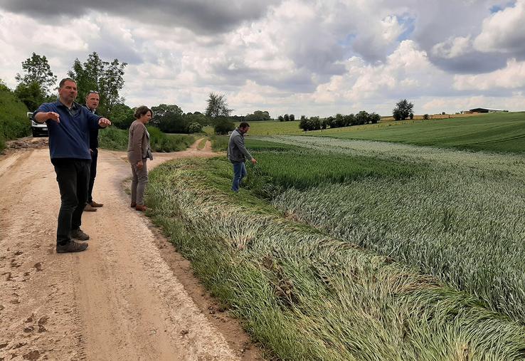Il faudra attendre un certain nombre de jours de beau temps pour pouvoir retravailler certaines parcelles et évaluer les pertes. 
