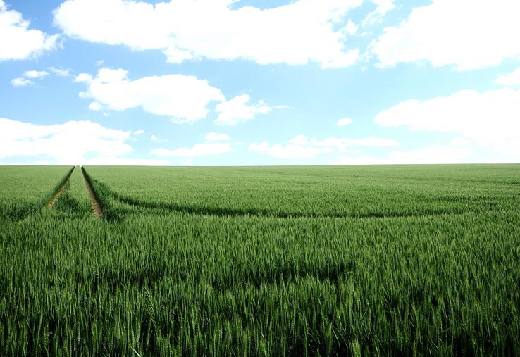 Au départ de leur fermier, beaucoup de propriétaires n’hésitent pas à vendre leurs terres, car ils ne veulent pas s’engager dans un nouveau bail relevant du statut  du fermage qu’ils jugent trop contraignant et insuffisamment rémunérateur. 