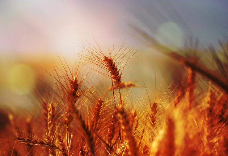 Les aléas climatiques extrêmes semblent n’avoir jamais autant fait l’actualité que ces dernières semaines, et c’est sans compter les tempêtes et inondations en France en fin d’année, ainsi que la sécheresse grave qui affecte certaines régions.